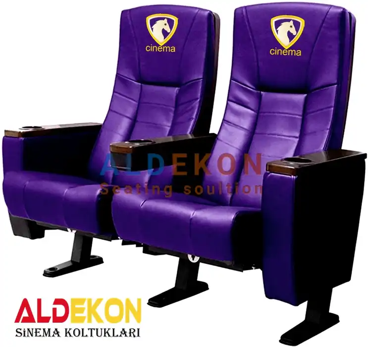 budaveshtsinemakoltugu54 | aldekon stadyum koltukları