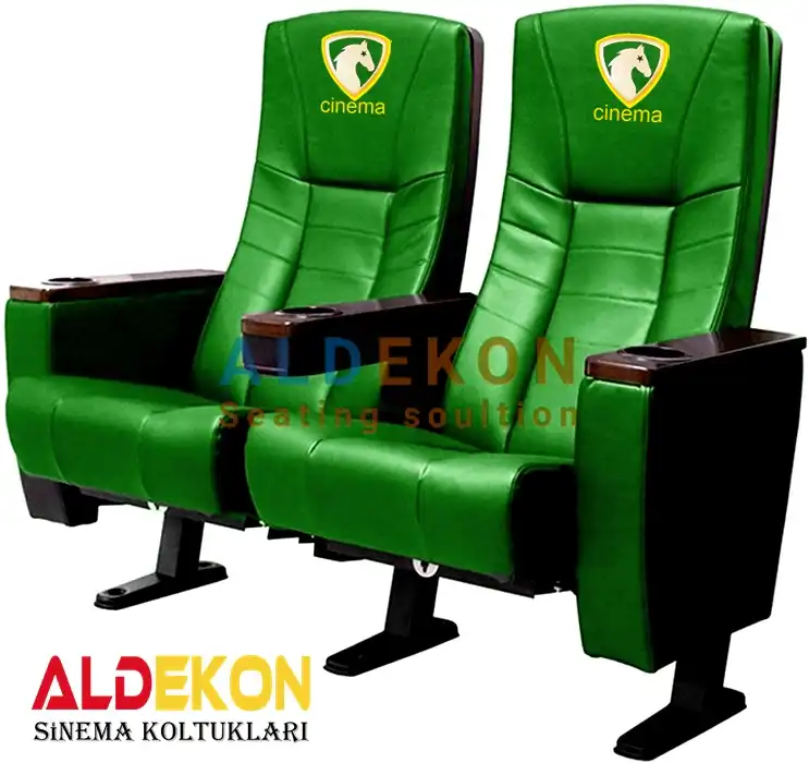 budaveshtsinemakoltugu56 | aldekon stadyum koltukları