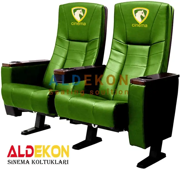 budaveshtsinemakoltugu59 | aldekon stadyum koltukları