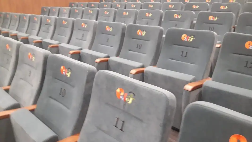 referanspeletokullarivipkonferanskoltuklari003 | aldekon stadyum koltukları